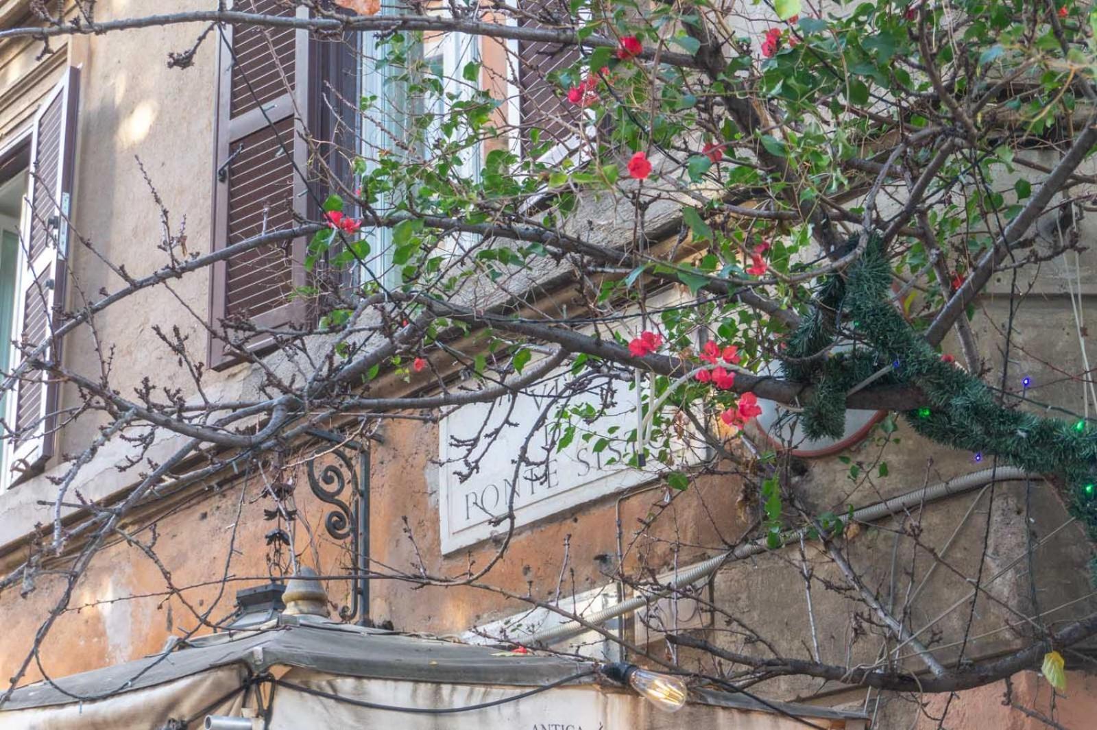 Lusso E Panorama Senza Paragoni, Loft Trastevere ローマ エクステリア 写真